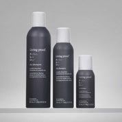 Perfect hair Day™ Dry Shampoo