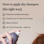 Perfect hair Day™ Dry Shampoo