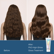 Detangled Shine Holiday Kit