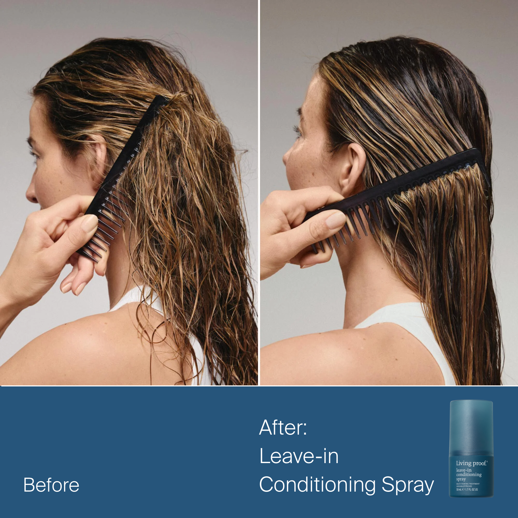 Detangled Shine Holiday Kit