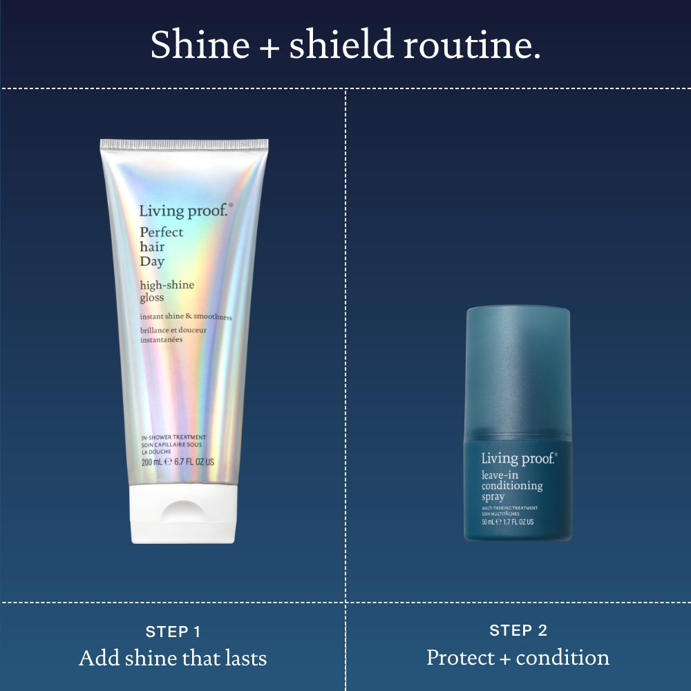 Detangled Shine Holiday Kit