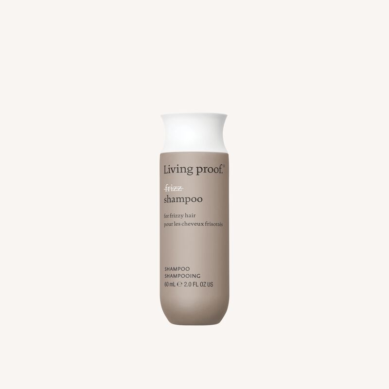 No Frizz Shampoo