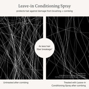 Leave-In Conditioning Spray