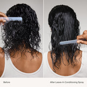 Leave-In Conditioning Spray