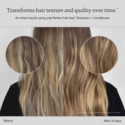 Perfect hair Day™ Hydrated Hair Essentials