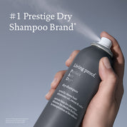 Perfect hair Day™ Dry Shampoo
