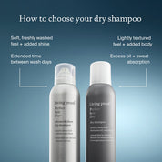 Perfect hair Day™ Dry Shampoo