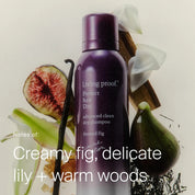 Perfect hair Day™ Frosted Fig Advanced Clean Dry Shampoo