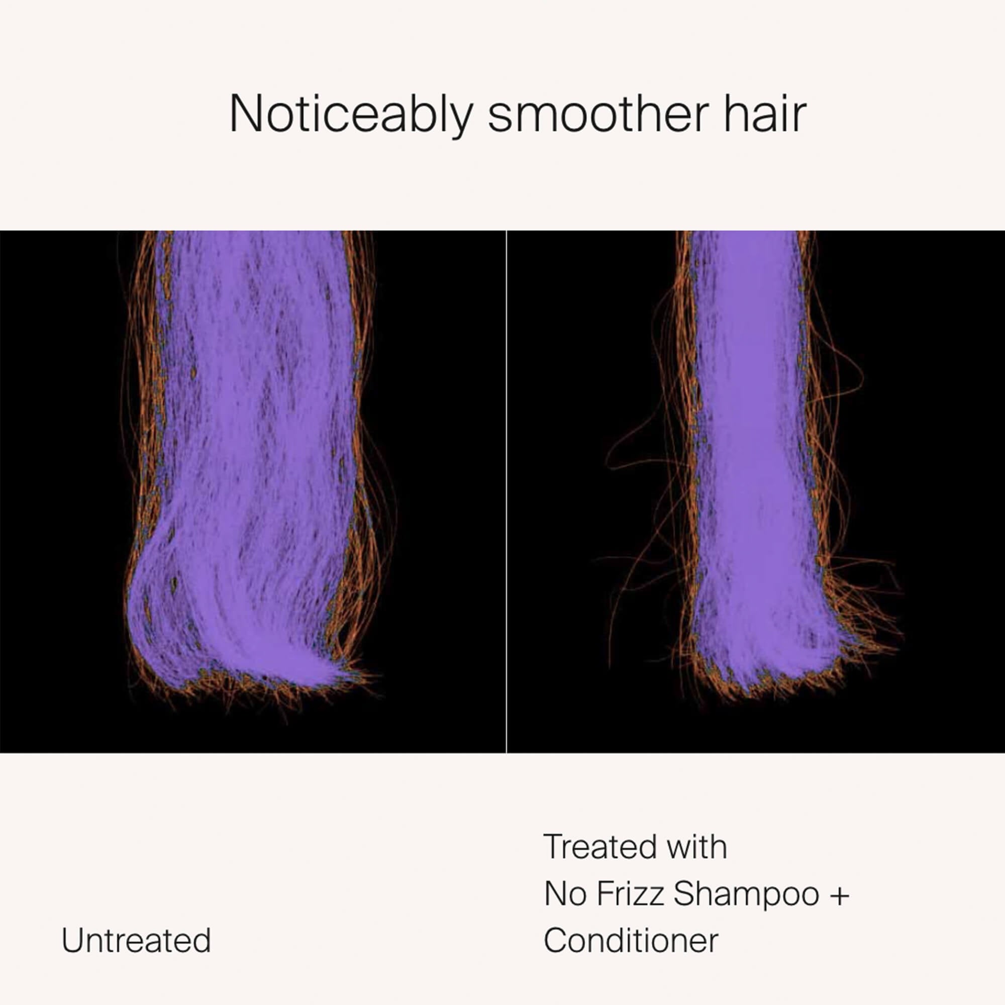 No Frizz Shampoo