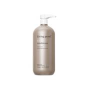 No Frizz Conditioner