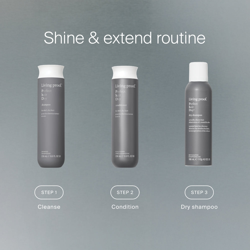 Perfect hair Day™ Dry Shampoo