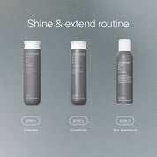 Perfect hair Day™ Dry Shampoo
