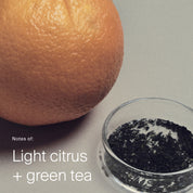 Clarifying Detox Shampoo