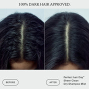 Perfect hair Day™ Sheer Clean Dry Shampoo Mist