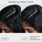 Perfect hair Day™ Sheer Clean Dry Shampoo Mist