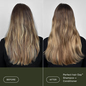 Perfect hair Day™ Hydration + Shine Set
