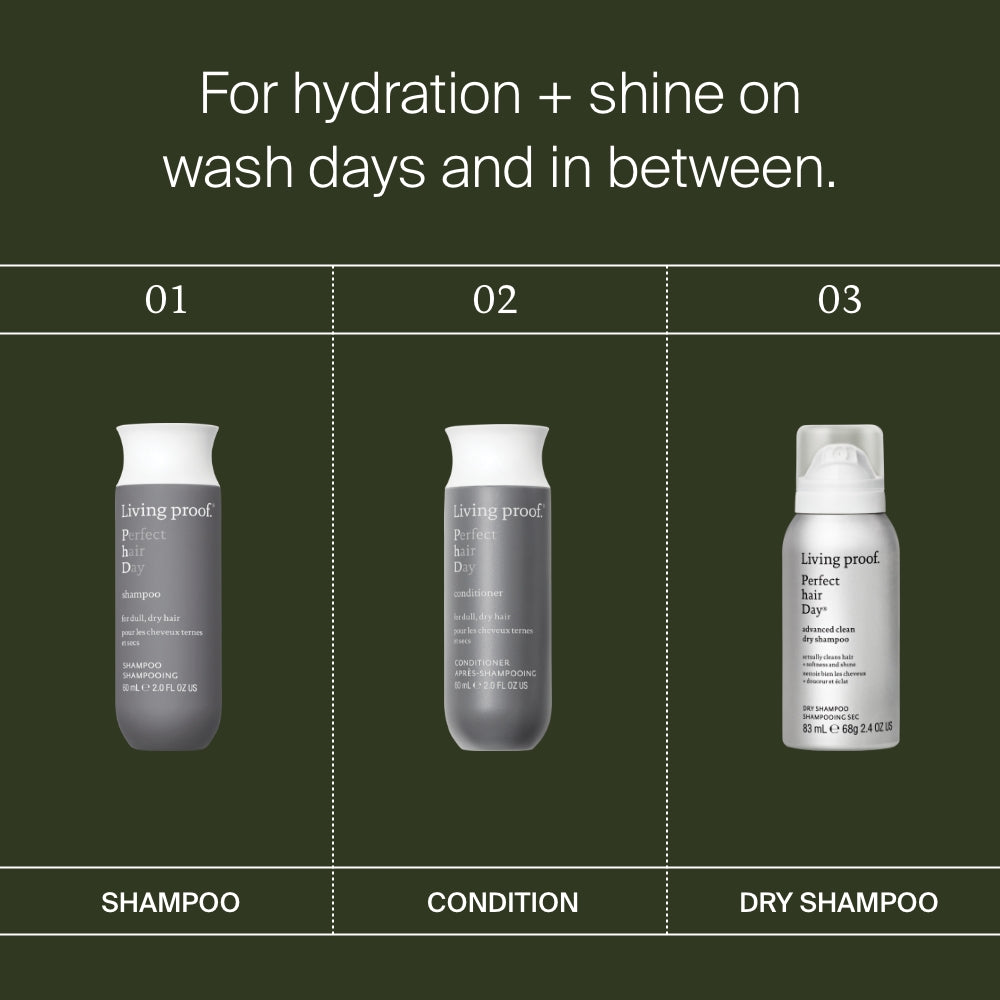 Perfect hair Day™ Hydration + Shine Set