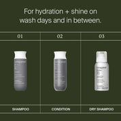Perfect hair Day™ Hydration + Shine Set